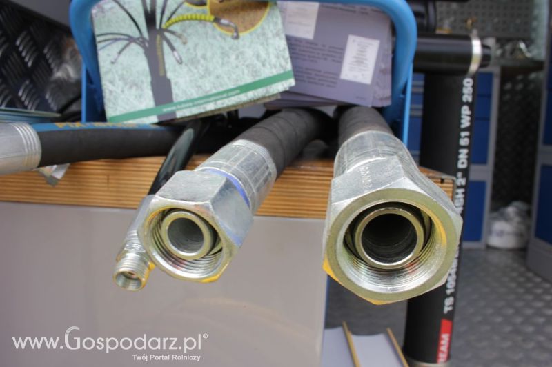 Tubes International - Minikowo 2012