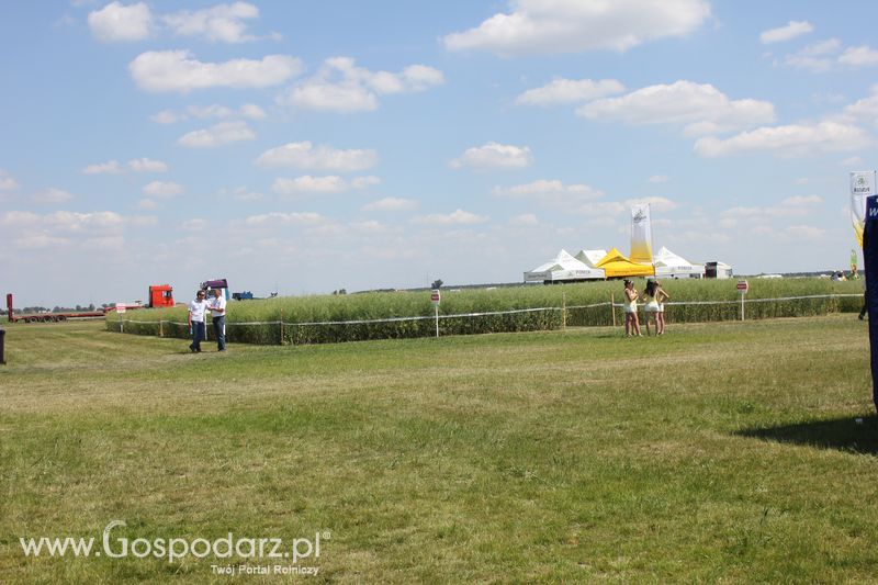 Polskie Zboża 2011 - Sobota