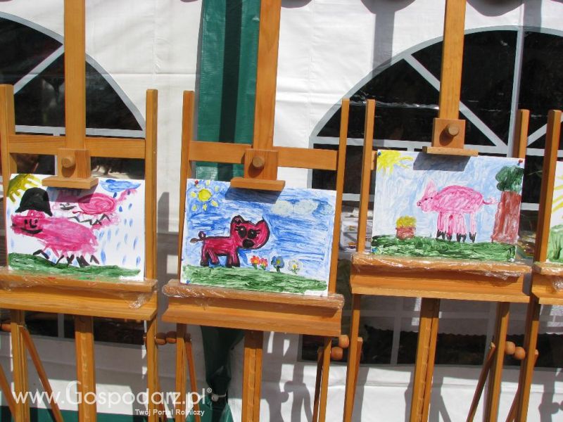 Festiwal Wieprzowiny w Koźminie Wielkopolskim 2013