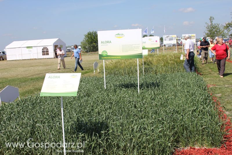 Polskie Zboża 2011 - Sobota