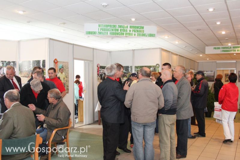 VII Ogólnopolska Wystawa Bydła Hodowlanego - Sielinko 2012