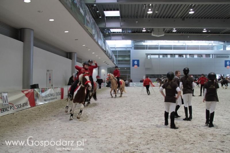 CAVALIADA 2013 w Poznaniu