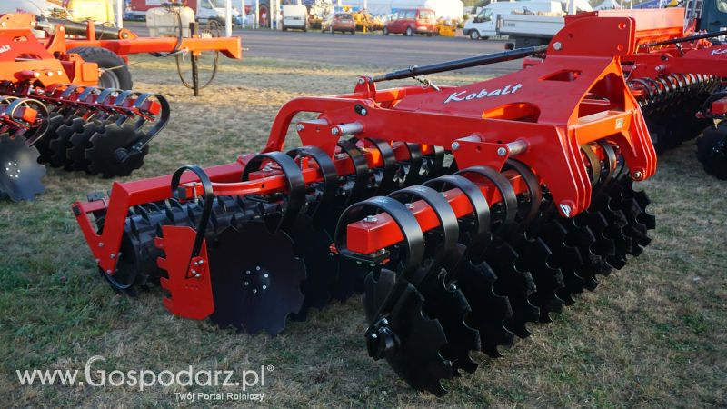 AGRO SHOW o wschodzie słońca
