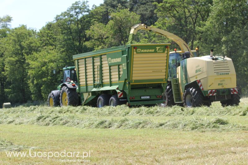 Zielone AGRO SHOW – POLSKIE ZBOŻA 2014 w Sielinku - sobota