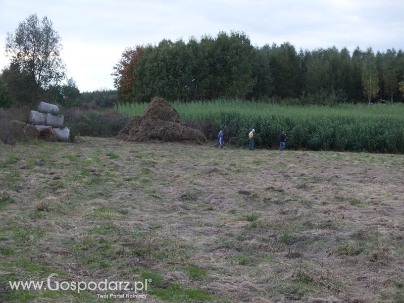 Ekologiczne produkty rolne.