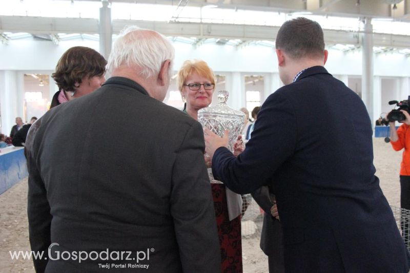 XXVI Krajowa Wystawa Zwierząt Hodowlanych - sobota i niedziela