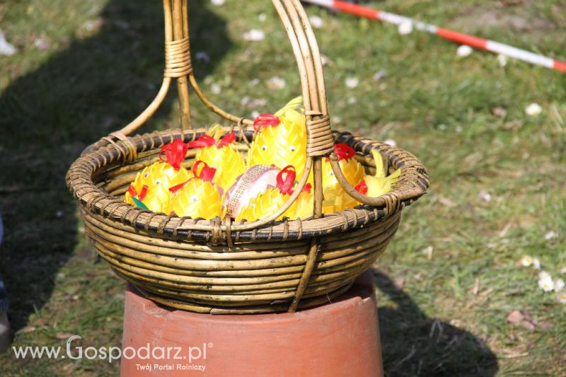 Targi Rolno-Ogrodnicze AGROMARSZ 2014
