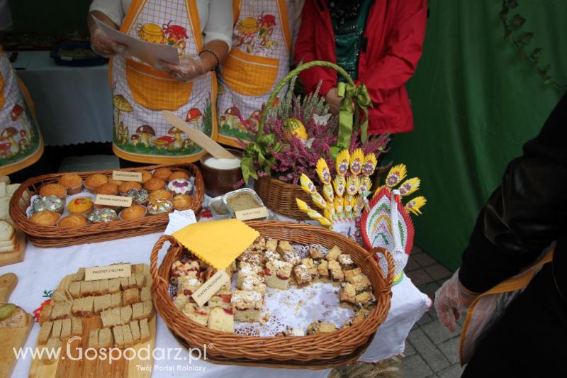 VIII Ogólnopolski Festiwal Pasztetników i Potraw z Gęsi