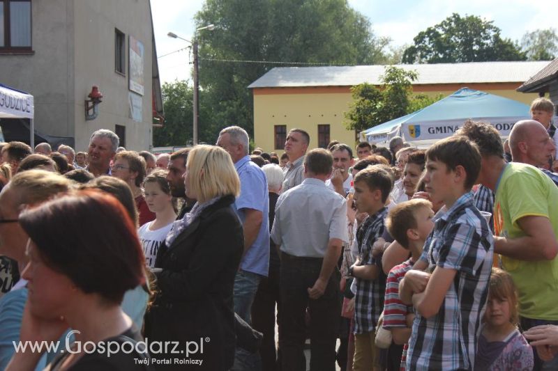 Święto Kaczki w Przygodzicach