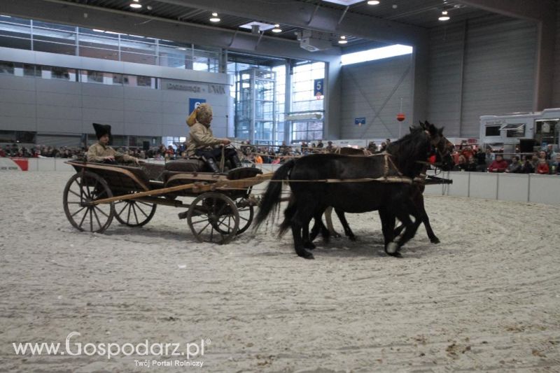 CAVALIADA 2013 w Poznaniu