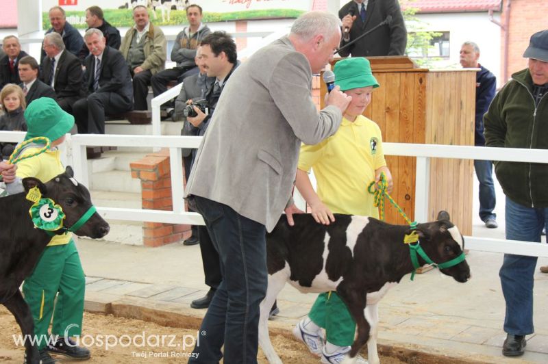 Mali Hodowcy VII Ogólnopolska Wystawa Bydła Hodowlanego w Sielinku 2012