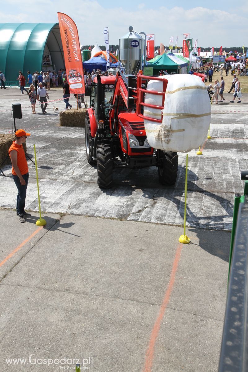 Precyzyjny Gospodarz na OPOLAGRZE 2015 - niedziela