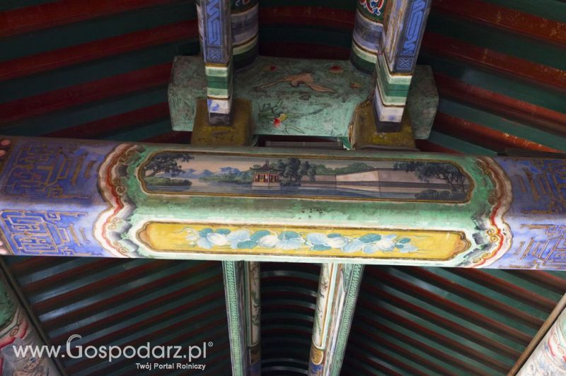 Gospodarz.pl w Chinach