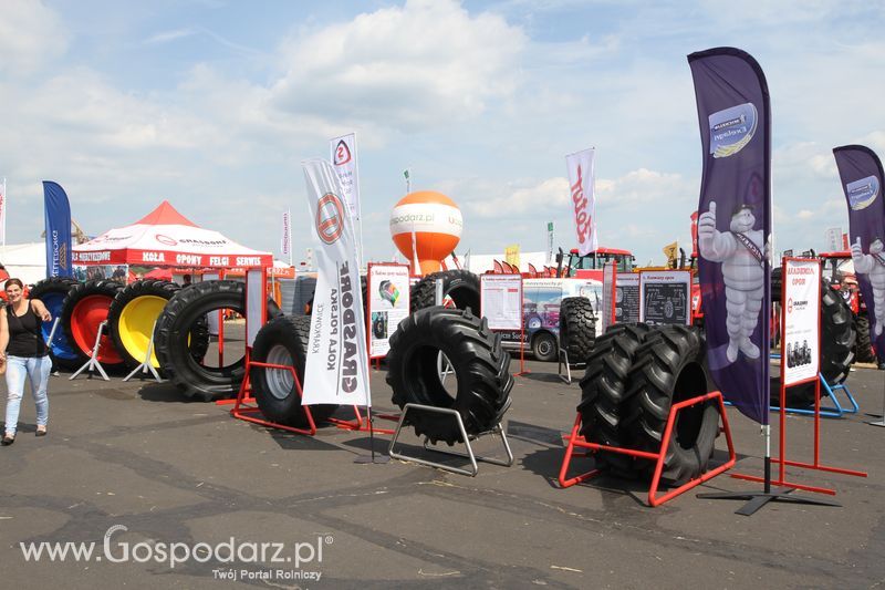 Grasdorf na OPOLAGRZE 2016