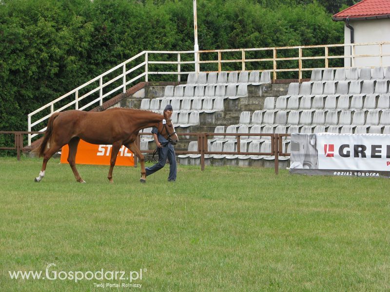 Wystawa Koni Sielinko 2011