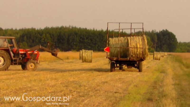 Zbiór Słomy 2013