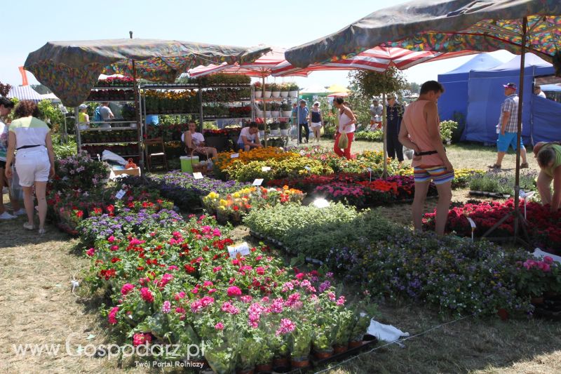 Targi Agro -Tech w Minikowie 2015