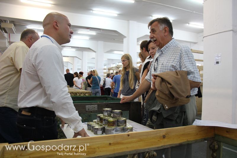 XXV Krajowa Wystawa Zwierząt Hodowlanych Niedziela