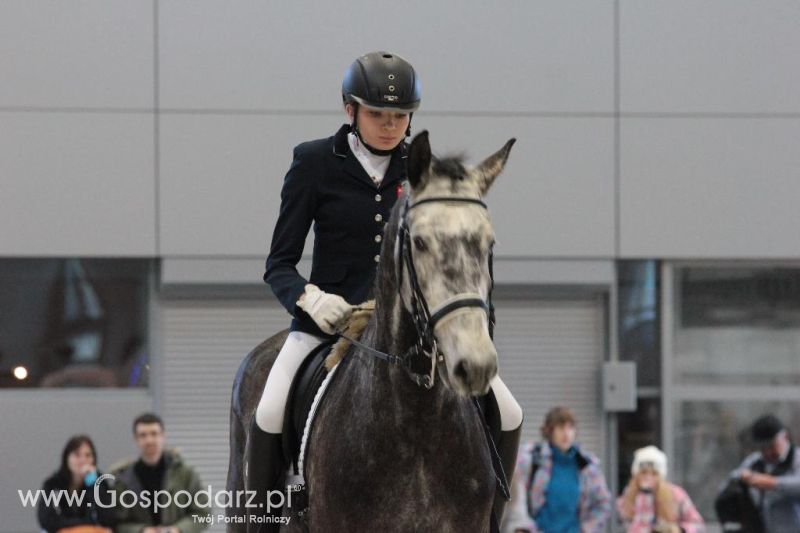 CAVALIADA 2013 w Poznaniu