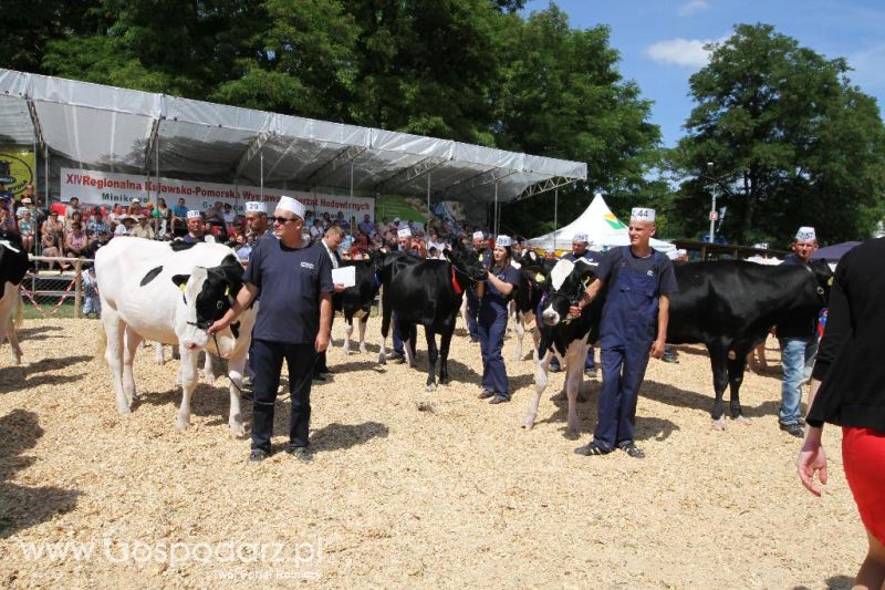 AGRO-TECH w Minikowie 2013