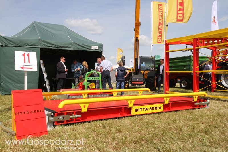 Zielone AGRO SHOW - Polskie Zboża 2015 w Sielinku