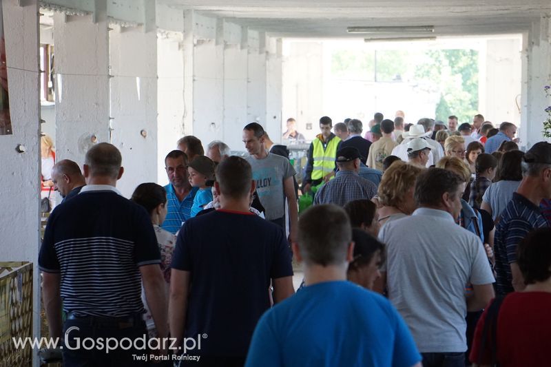 Targi rolne w Szepietowie (27-28.06.2015)