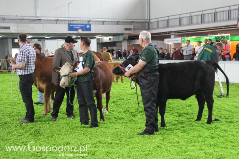 XXVI Krajowa Wystawa Zwierząt Hodowlanych - sobota i niedziela