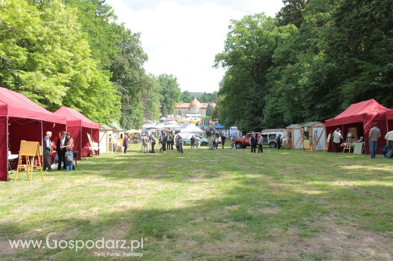 XX Targi Rolnicze Lubniewice 