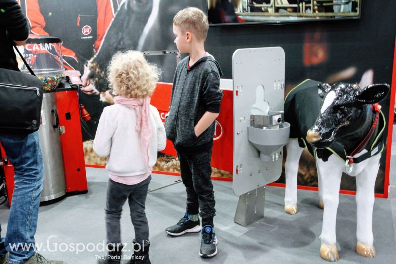 Ferma 2019 dzień 2