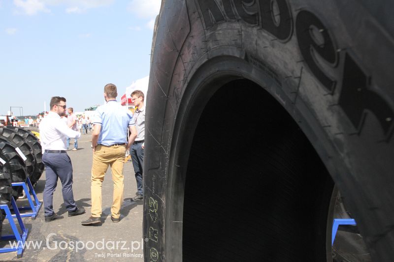 Grasdorf na OPOLAGRA Kamień Śląski 2018