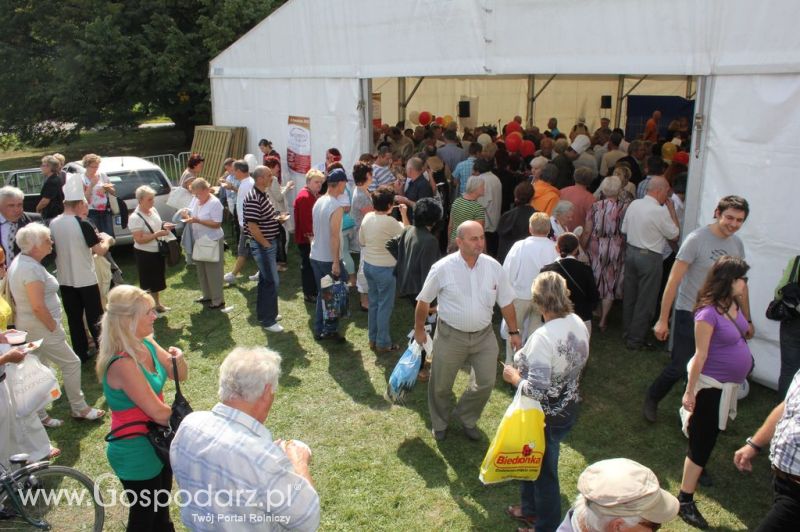 Świętomięs Polski w Chorzowie