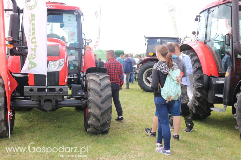 Zetor na AGRO-TECH Minikowo 2017