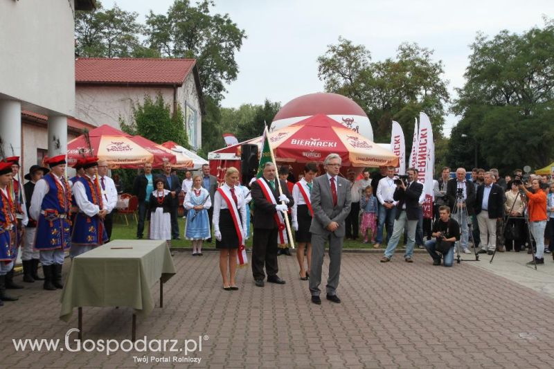 I Krajowa Wystawa Bydła Mięsnego w Sielinku - sobota