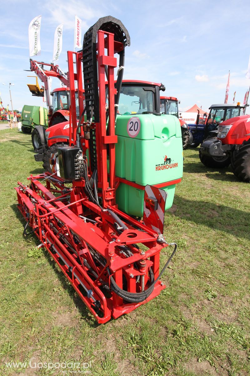 Krukowiak na Agro-Tech w Minikowie 2016