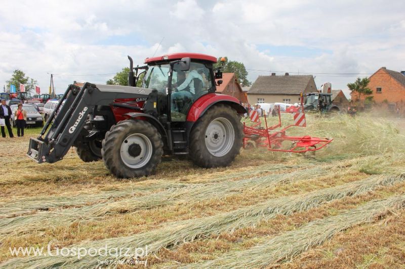 Pokazy polowe Romanów k/Krotoszyna