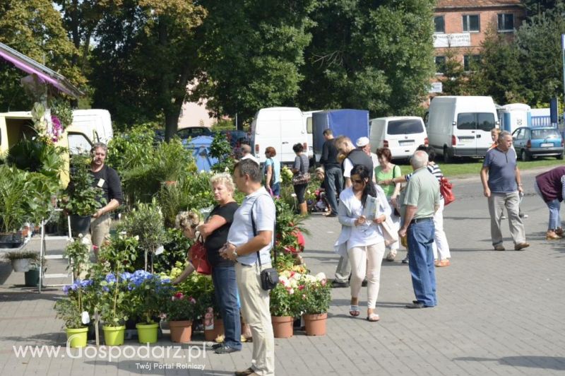  Targi ROLEXPO 2014