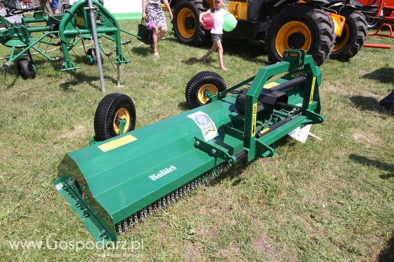  Regionalna Wystawa Zwierząt Hodowlanych W Szepietowie 2016 z Gospodarz.pl