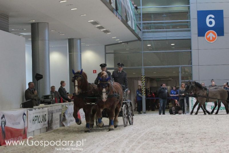 CAVALIADA 2013 w Poznaniu
