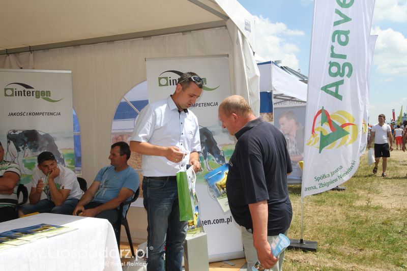 Intergen na OPOLAGRZE 2015