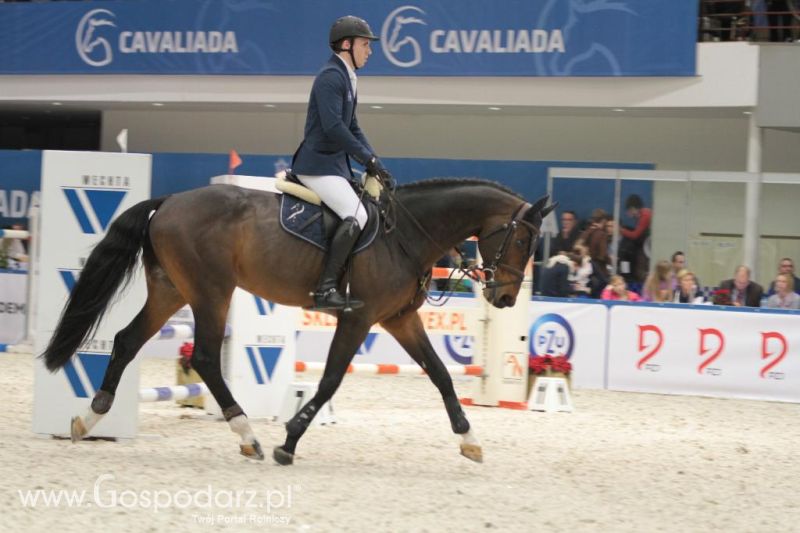 CAVALIADA 2013 w Poznaniu