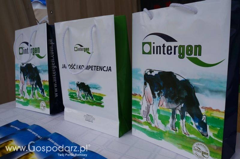 Intergen na OPOLAGRZE 2015