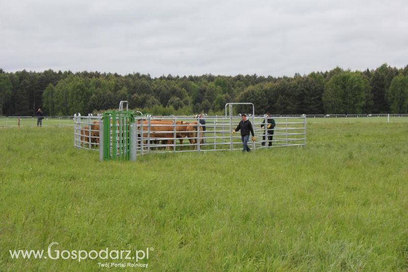 Polskie Zboża i Zielone Agro Show 2013