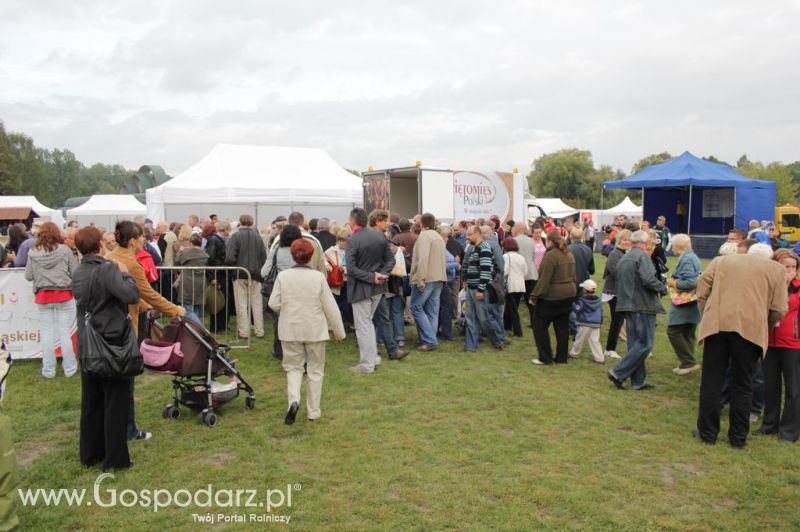 Świętomięs Polski w Chorzowie