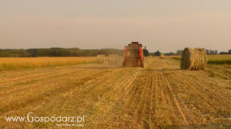Zbiór Słomy 2013