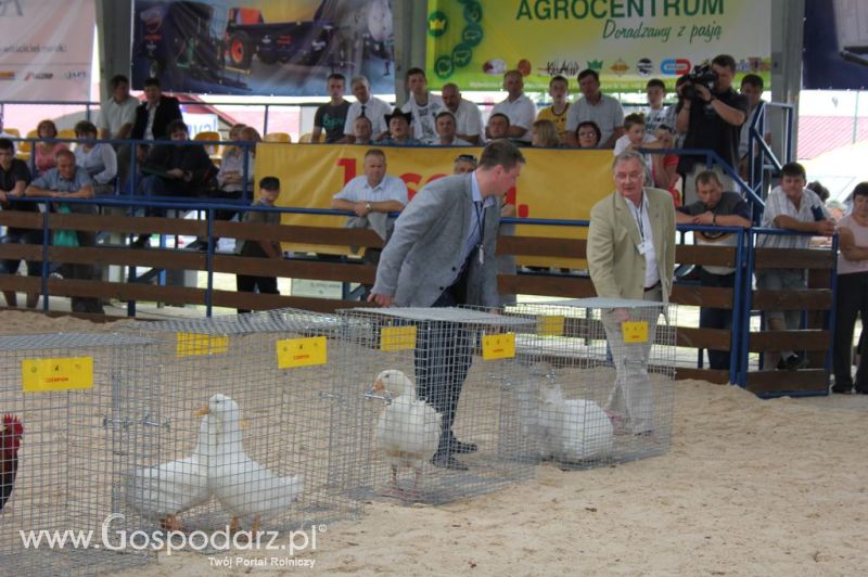 Drób - Szepietowo 2012 XIX Regionalna Wystawa Zwierząt Hodowlanych