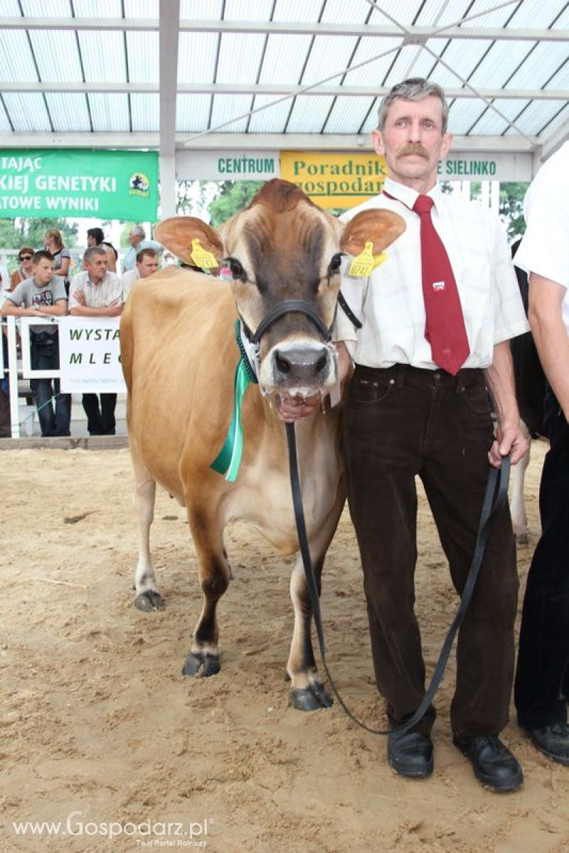 Czempioni XVII Regionalnej Wystawy Zwierząt Hodowlanych Sielinko 2011