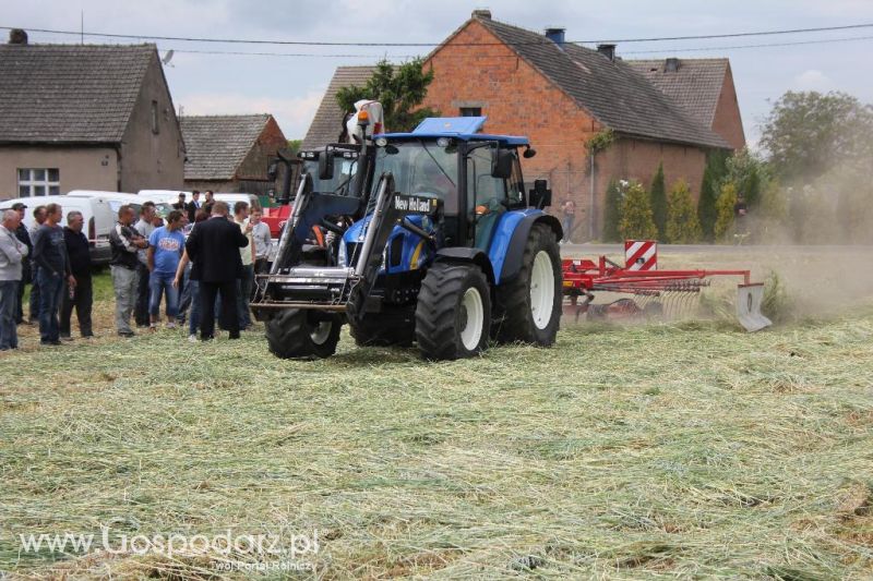 Pokazy polowe Romanów k/Krotoszyna