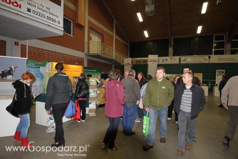 Wystawa  Blickpunkt Rind 2013 w miejscowości Paaren/Glien (Niemcy)
