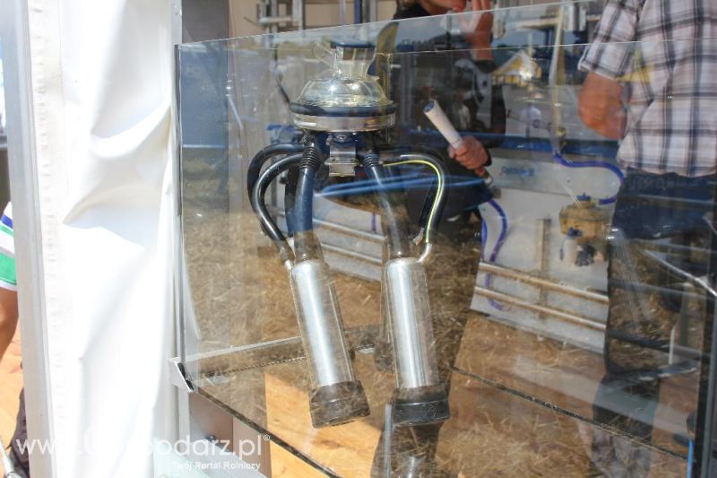 Regionalna Wystawa Zwierząt Hodowlanych i Dni z Doradztwem Rolniczym w Szepietowie-sobota