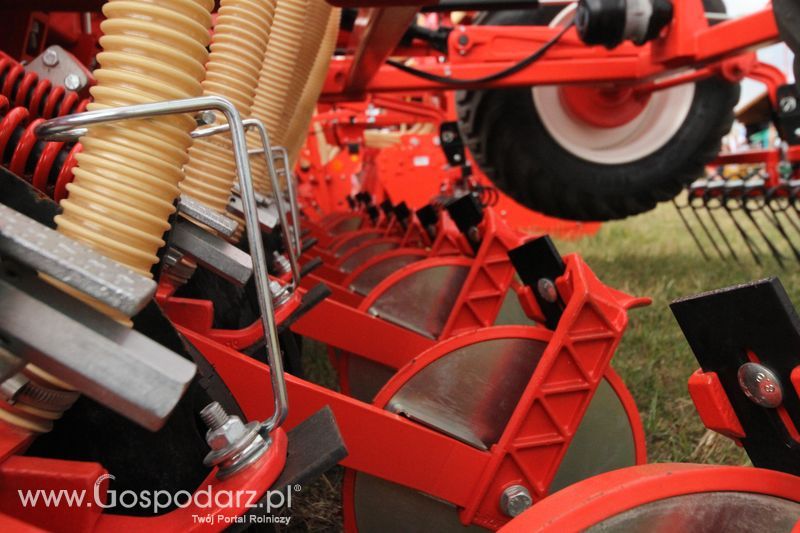 Maschio Gaspardoona na OPOLAGRA Kamień Śląski 2018